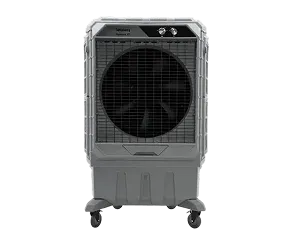 XE200